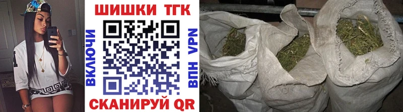 Бошки Шишки план  Горбатов 